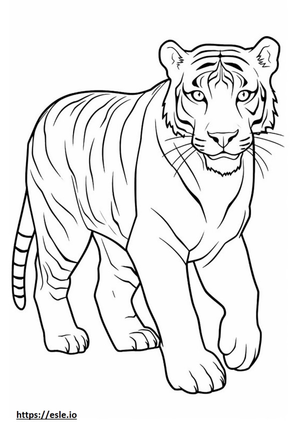Tigre malayo lindo para colorear e imprimir