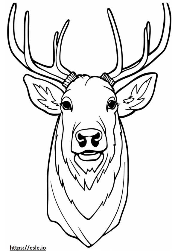 Fața Roosevelt Elk de colorat