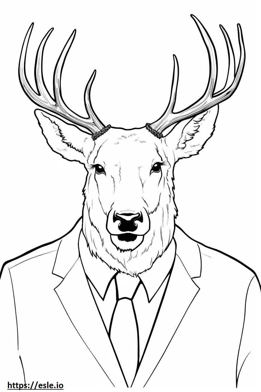 Roosevelt Elk face coloring page