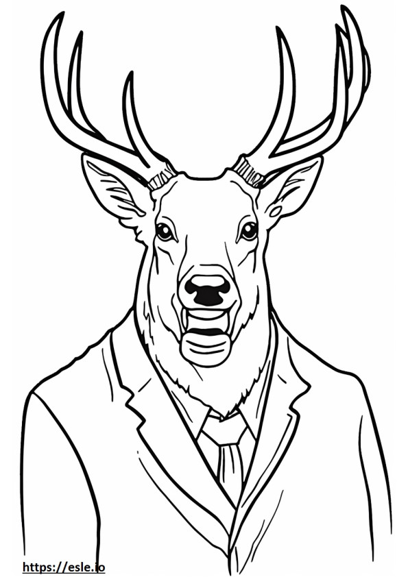 Roosevelt Elk face coloring page