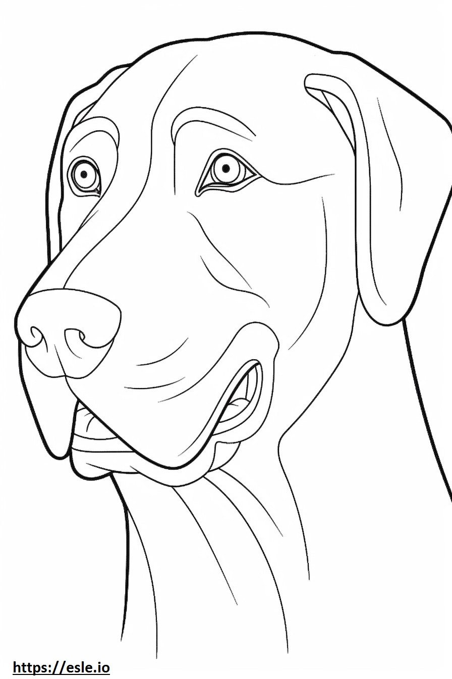Cara de Labrador plateada para colorear e imprimir
