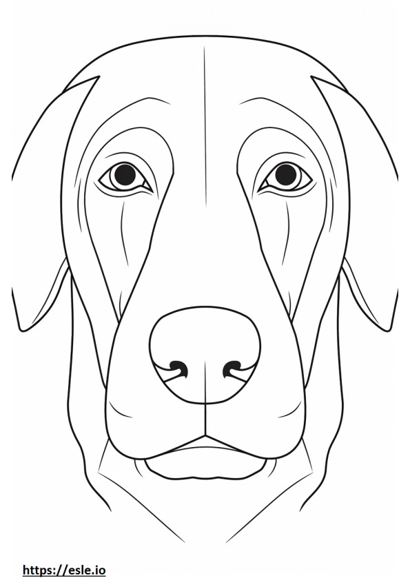 Zilveren Labrador-gezicht kleurplaat