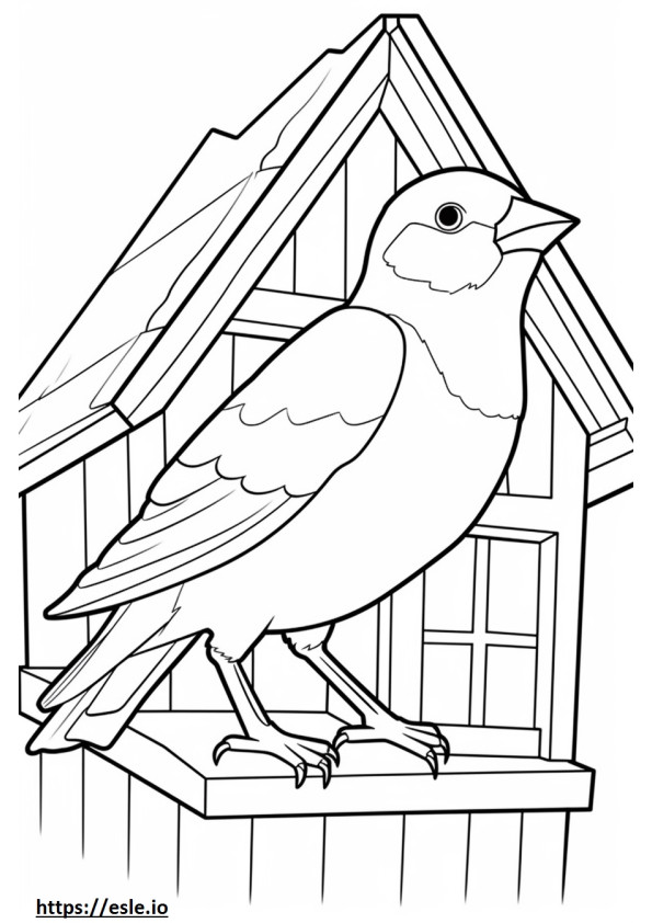 House Sparrow (Bahasa Inggris Sparrow) lucu gambar mewarnai