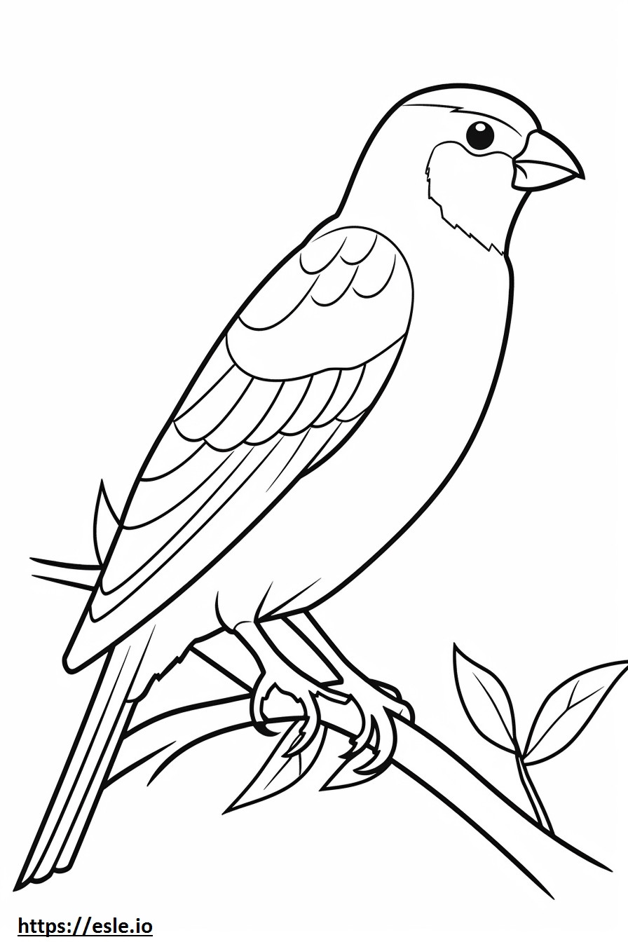 Gorrión común (gorrión inglés) lindo para colorear e imprimir
