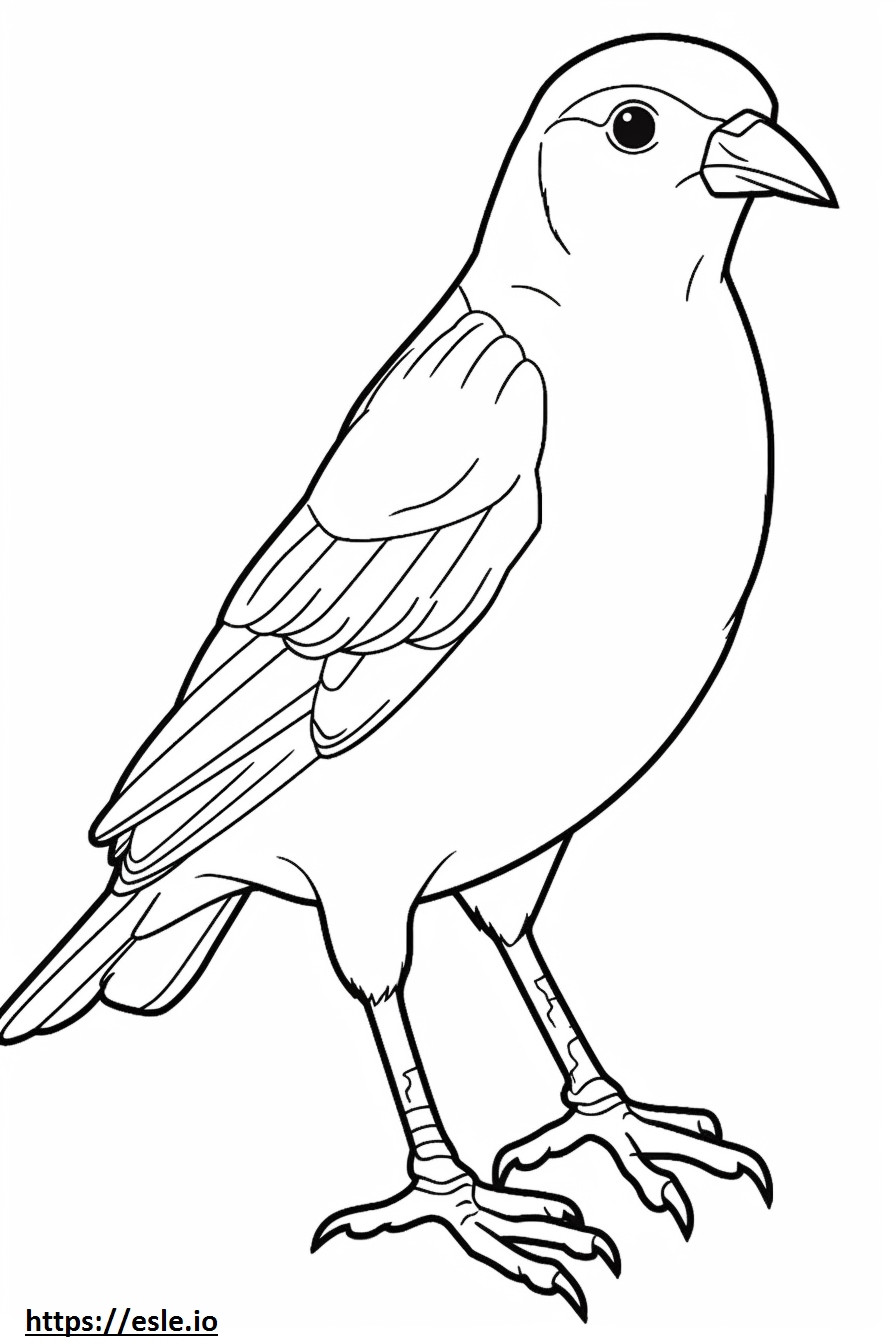 Gorrión común (gorrión inglés) lindo para colorear e imprimir