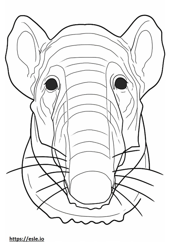Het gezicht van de olifantsspitsmuis kleurplaat