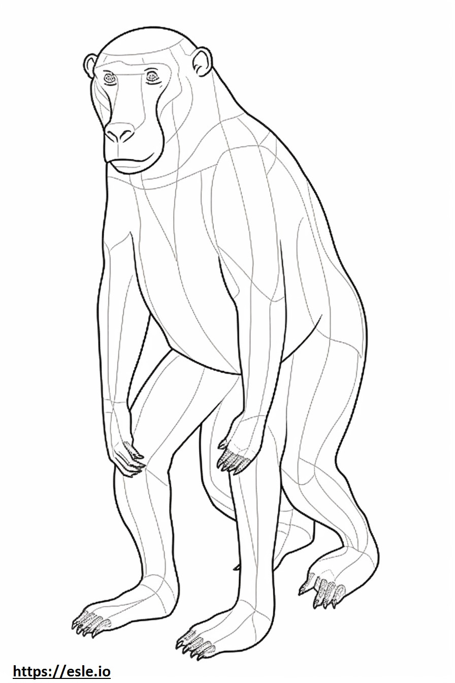 Mono narigudo de cuerpo completo para colorear e imprimir