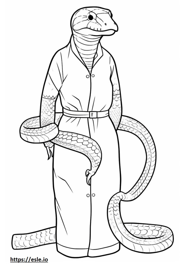 Texas Indigo Snake koko vartalo värityskuva