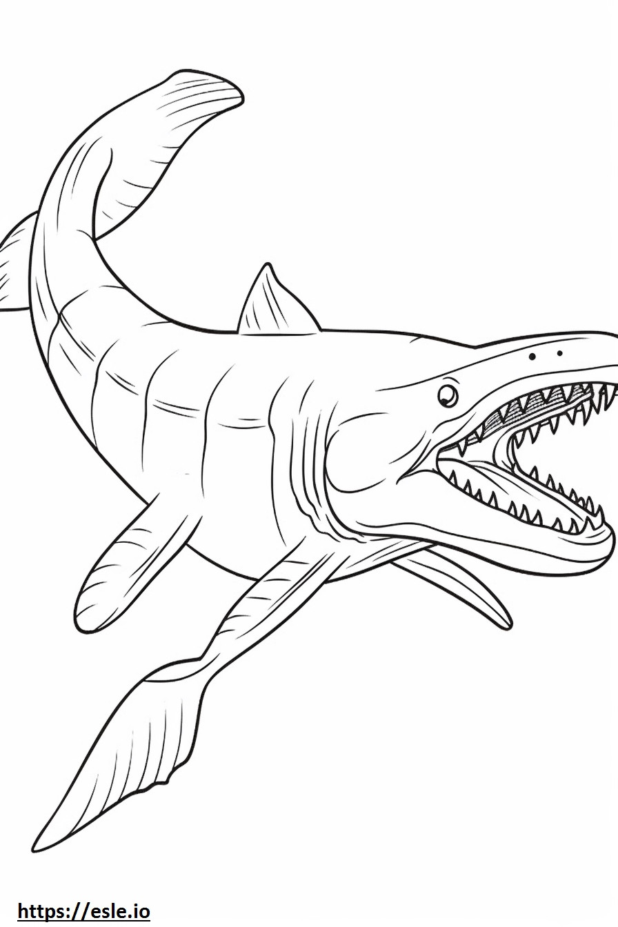 Tubarão-frade fofo para colorir