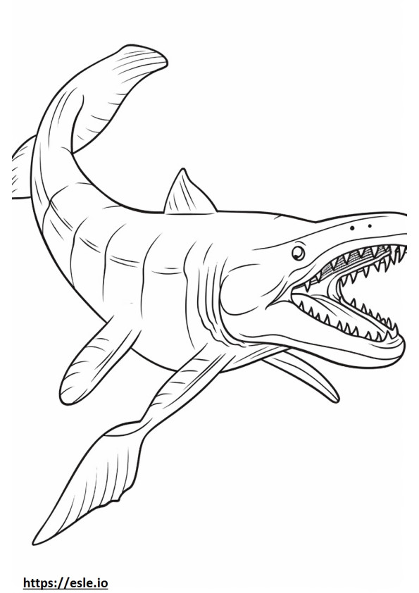 Basking Shark cute coloring page
