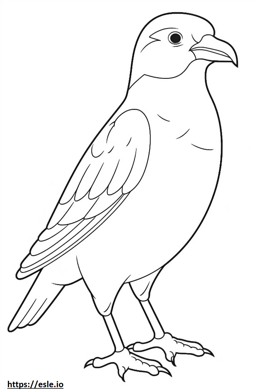 Linnet full body coloring page
