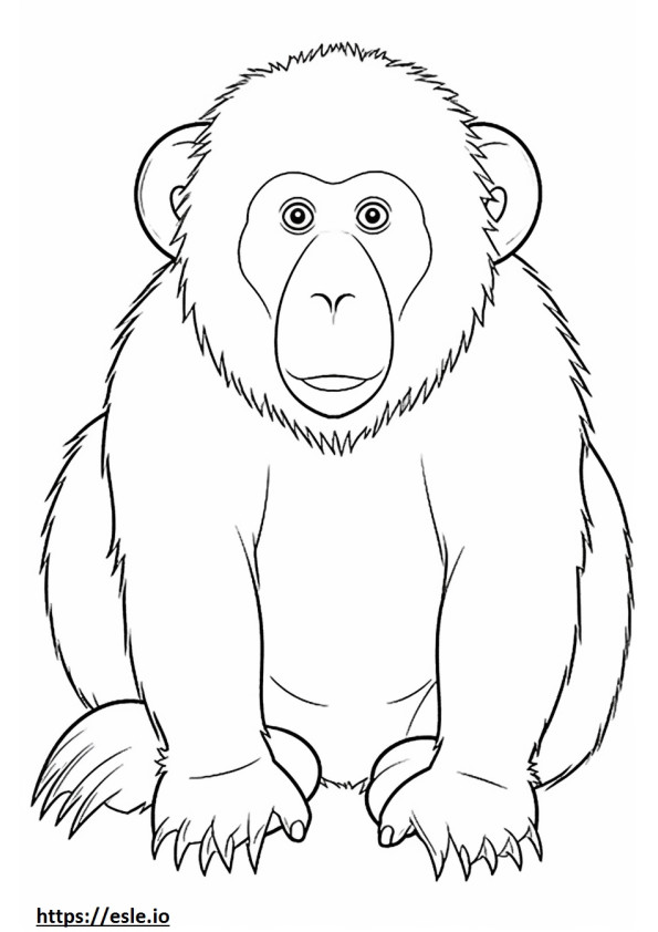 Macaco Japonês Kawaii para colorir