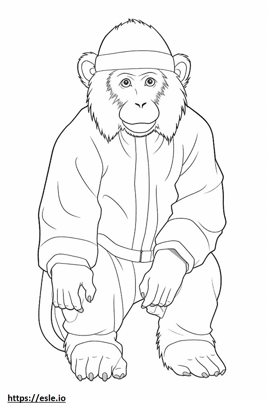 Macaco Japonês Kawaii para colorir