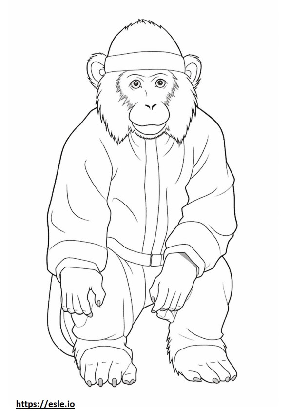 Coloriage Macaque japonais Kawaii à imprimer