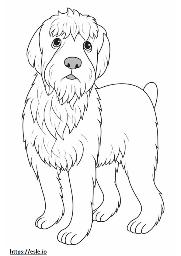 Drahthaariger Vorstehhund Kawaii ausmalbild