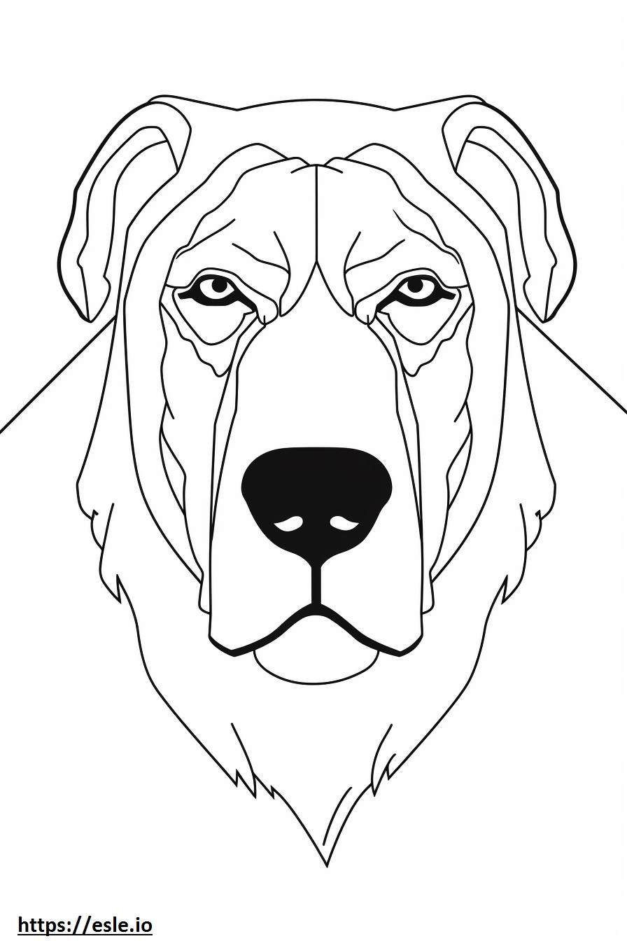 Formosan Mountain Dog face coloring page