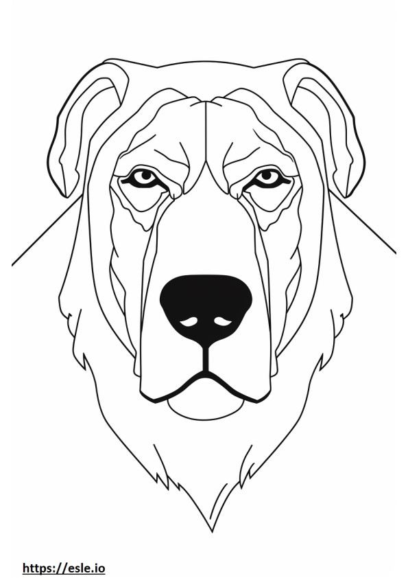 Coloriage Visage de chien de montagne de Formose à imprimer