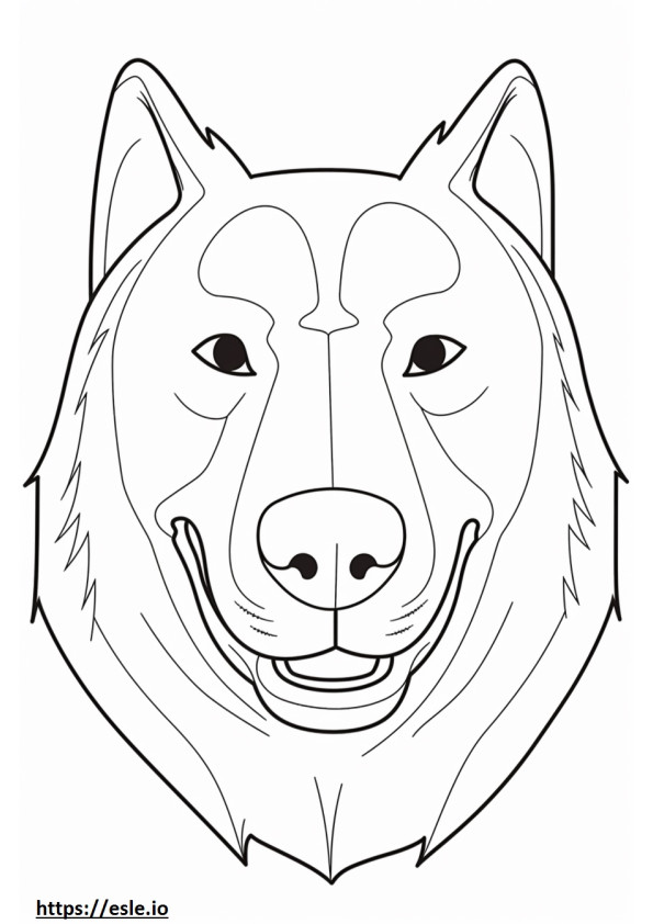 Formosan Sennenhund Gesicht ausmalbild