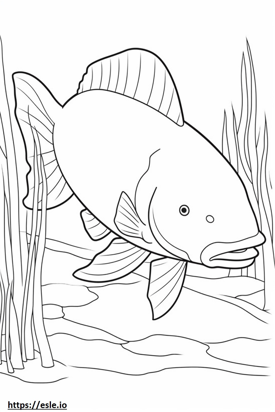 Elephant Fish koko vartalo värityskuva