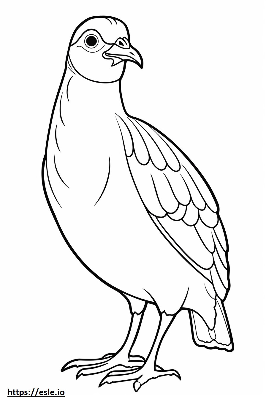 Quail cute coloring page