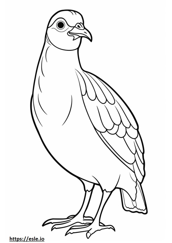 Quail cute coloring page