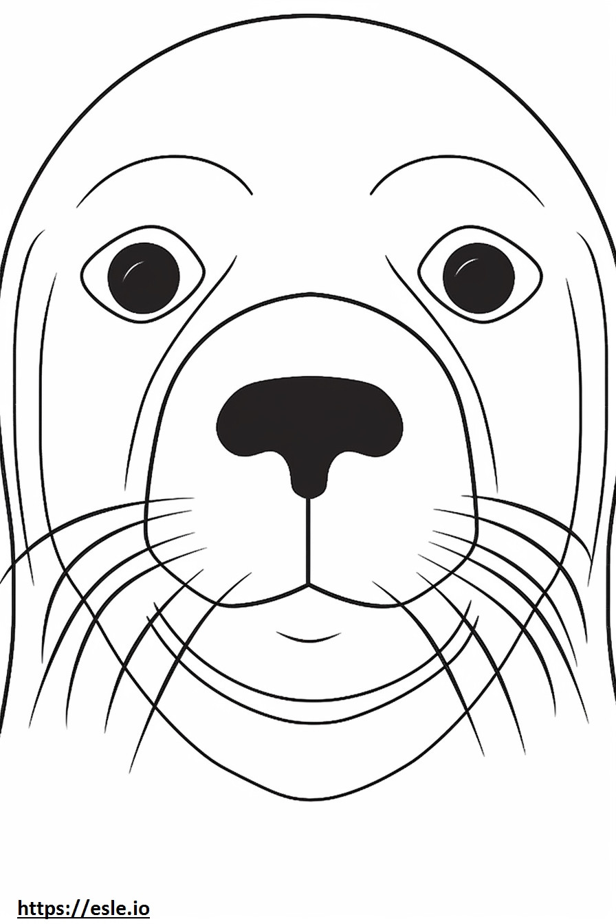 Fur Seal arc szinező
