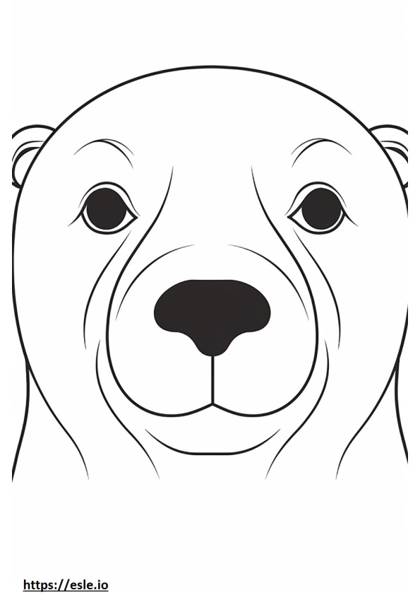 Fur Seal face coloring page