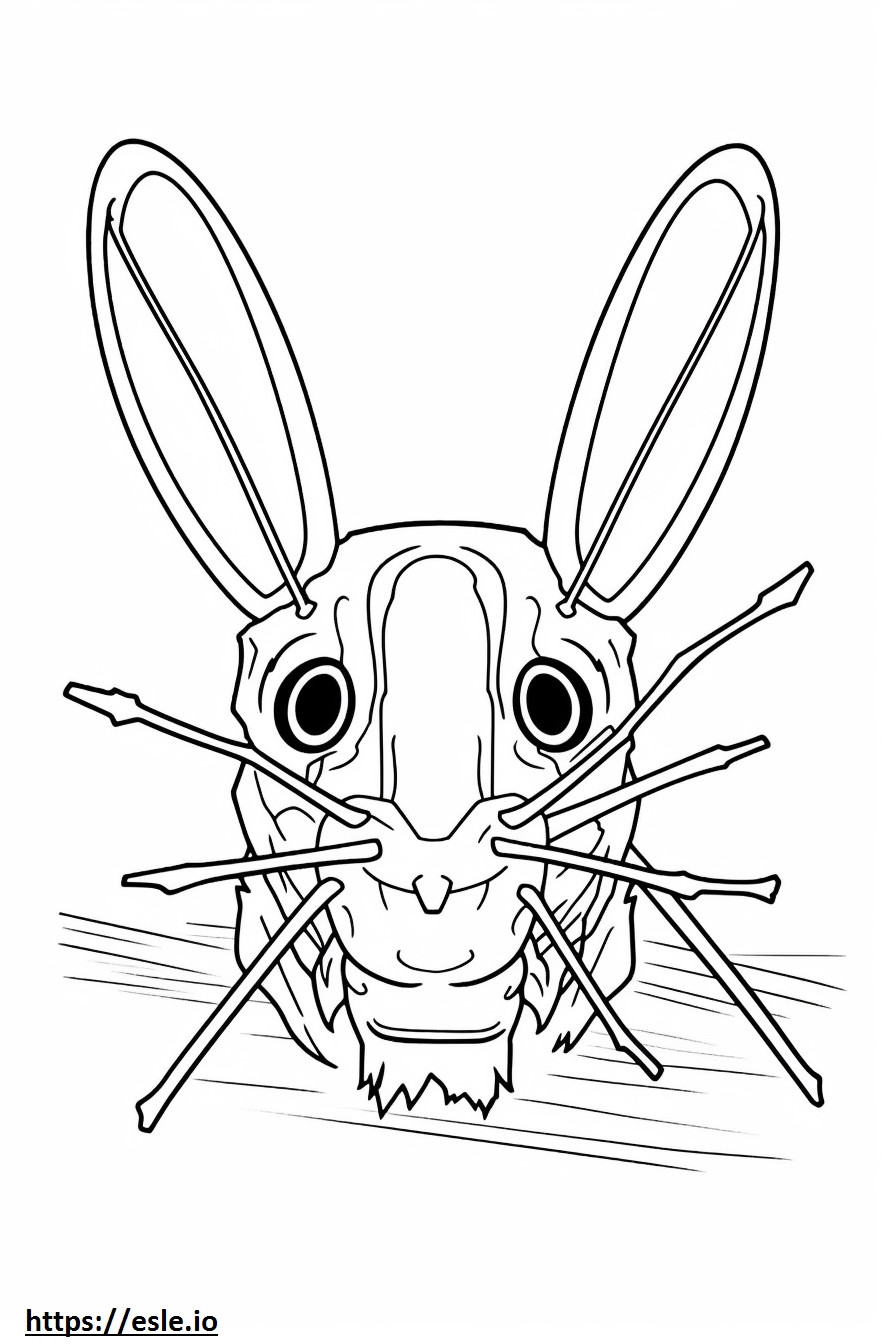 Het gezicht van de sprinkhaanmuis kleurplaat kleurplaat