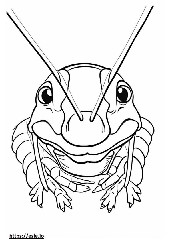 Grasshopper Mouse face coloring page