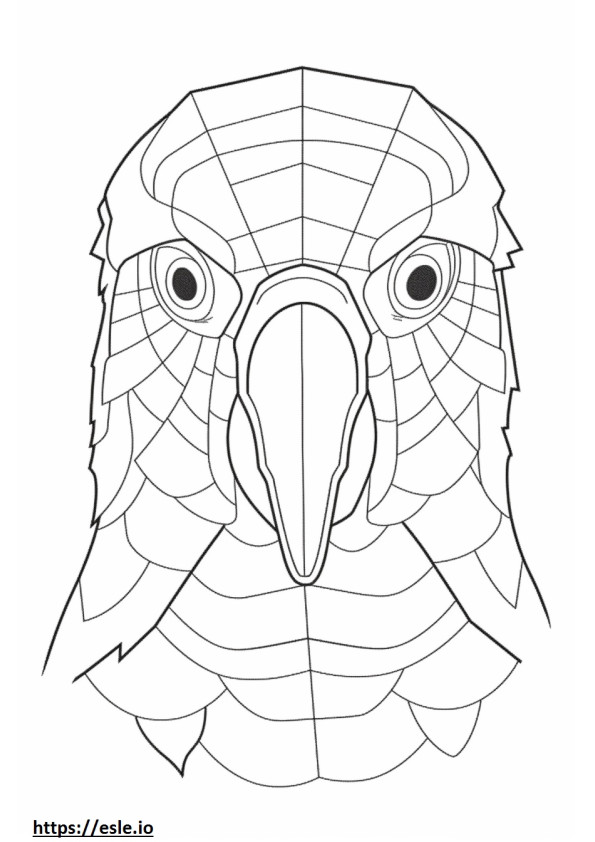 Conure face coloring page