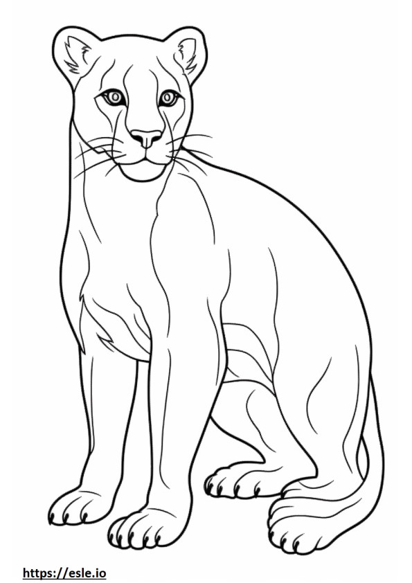 Mountain Lion cute coloring page