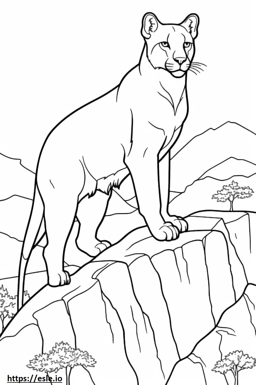 Leão da montanha fofo para colorir