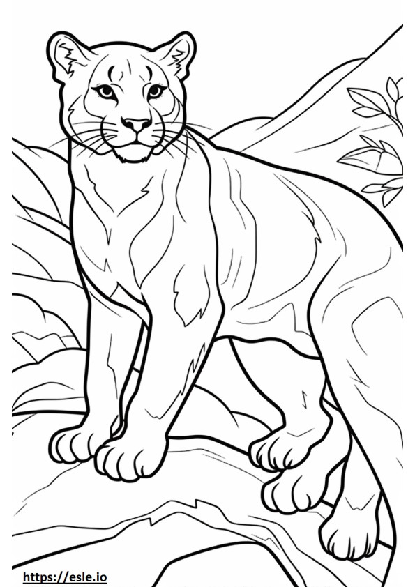 Leão da montanha fofo para colorir