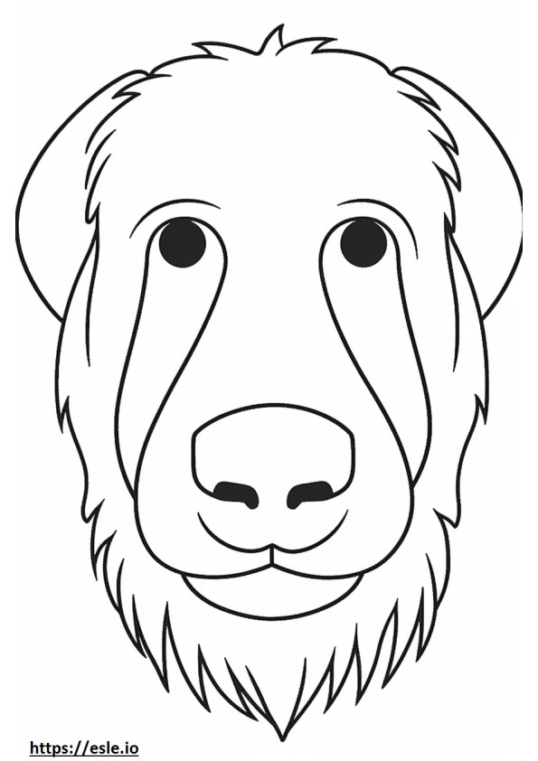 Sealyham Terrier Gesicht ausmalbild
