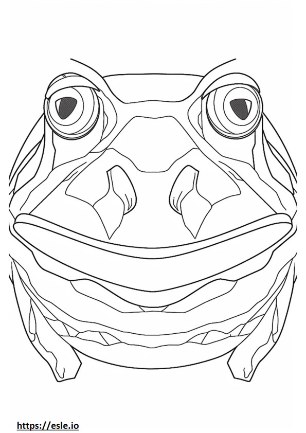 アフリカウシガエルの顔 ぬりえ - 塗り絵