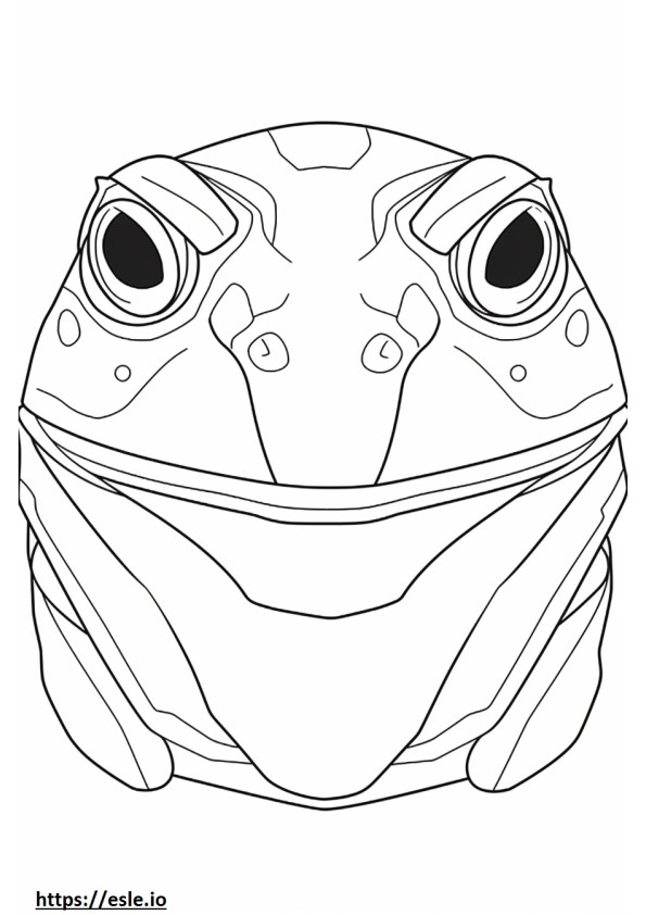 アフリカウシガエルの顔 ぬりえ - 塗り絵