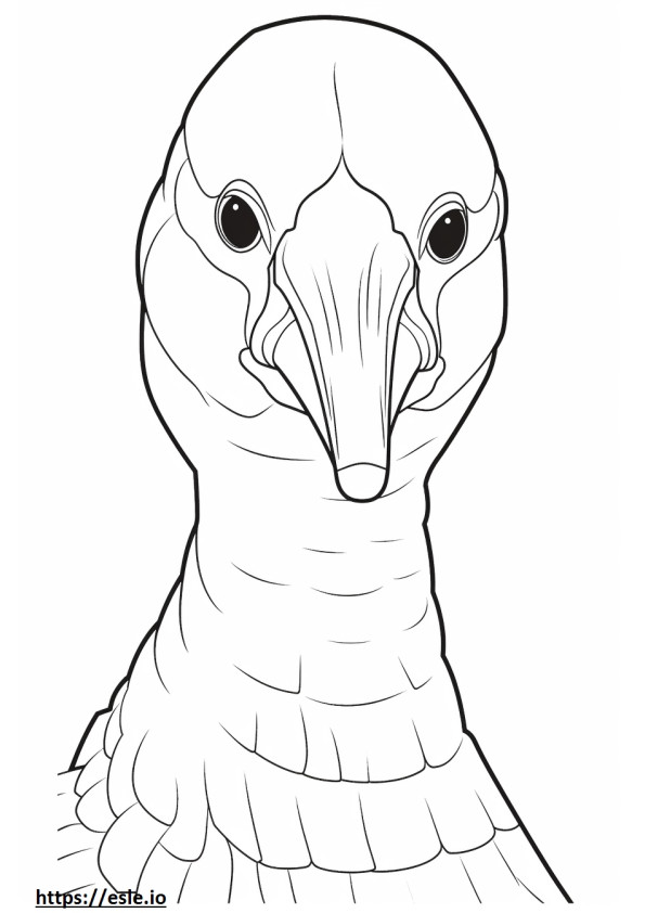 Pileated Woodpecker face coloring page
