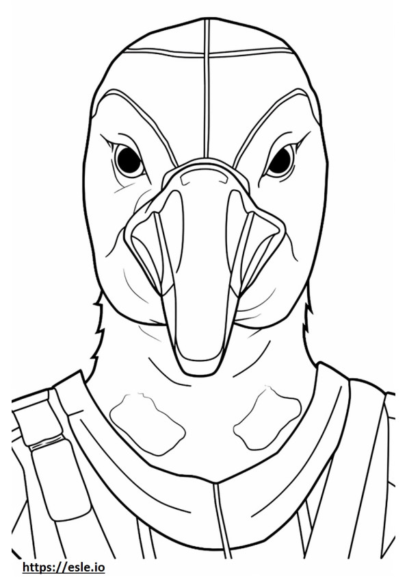 Pileated Woodpecker face coloring page