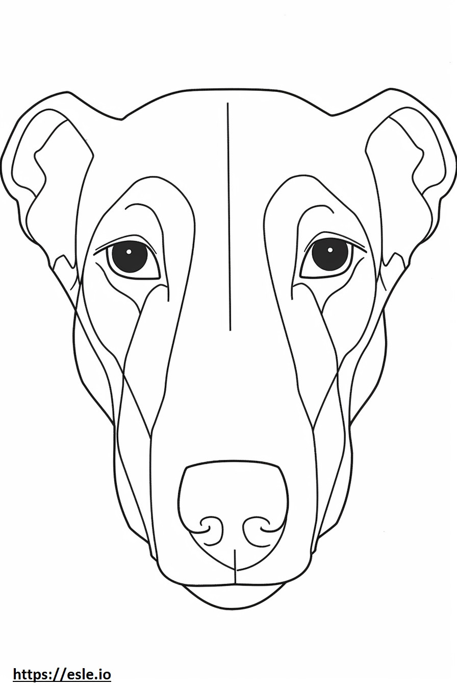 Italian Greyhound face coloring page