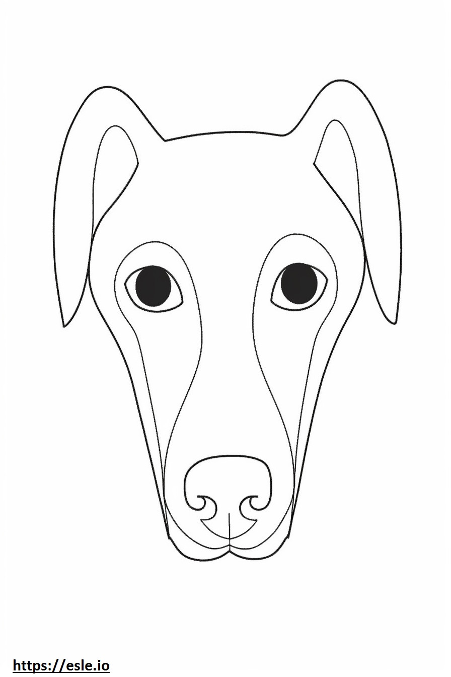 Wajah Greyhound Italia gambar mewarnai