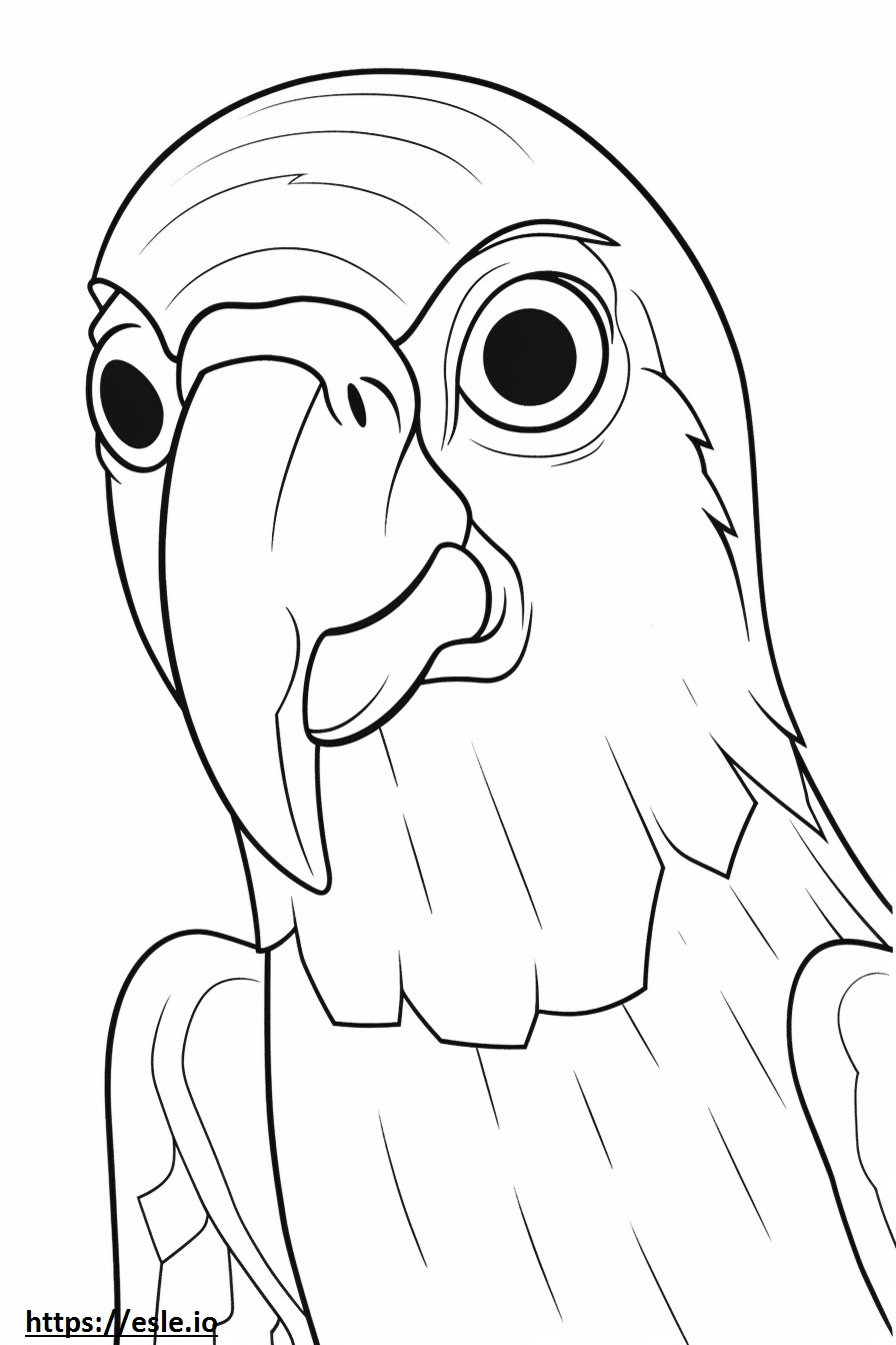 Parrot face coloring page