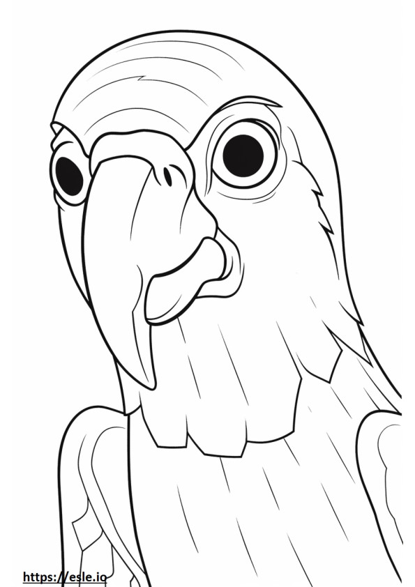 Papuga twarz kolorowanka