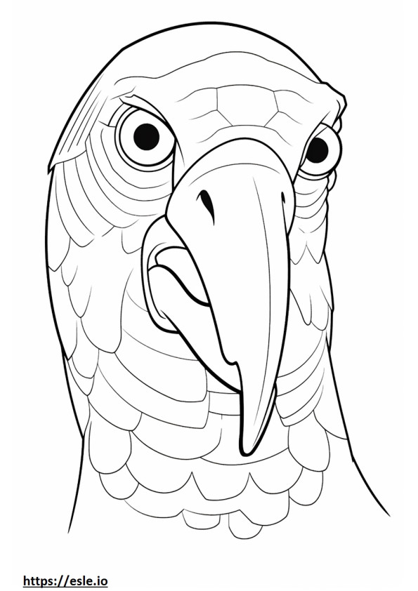Parrot face coloring page