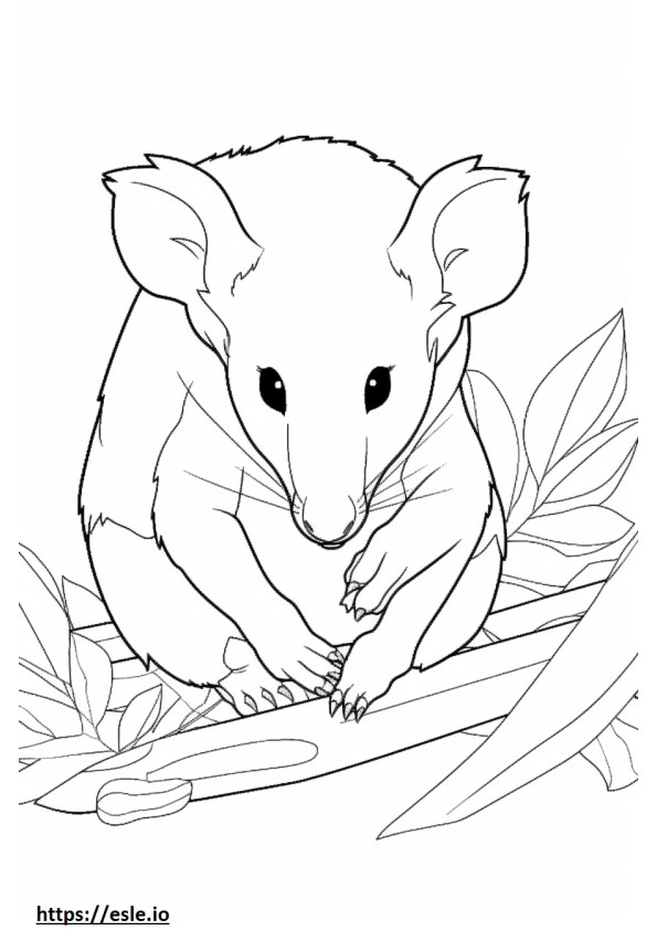 Opossum Kawaii coloring page