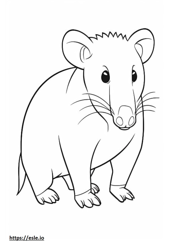 Opossum Kawaii ausmalbild