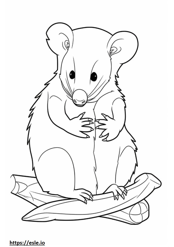 Opossum Kawaii coloring page