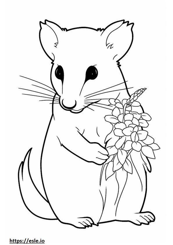 keseli sıçan kawaii boyama