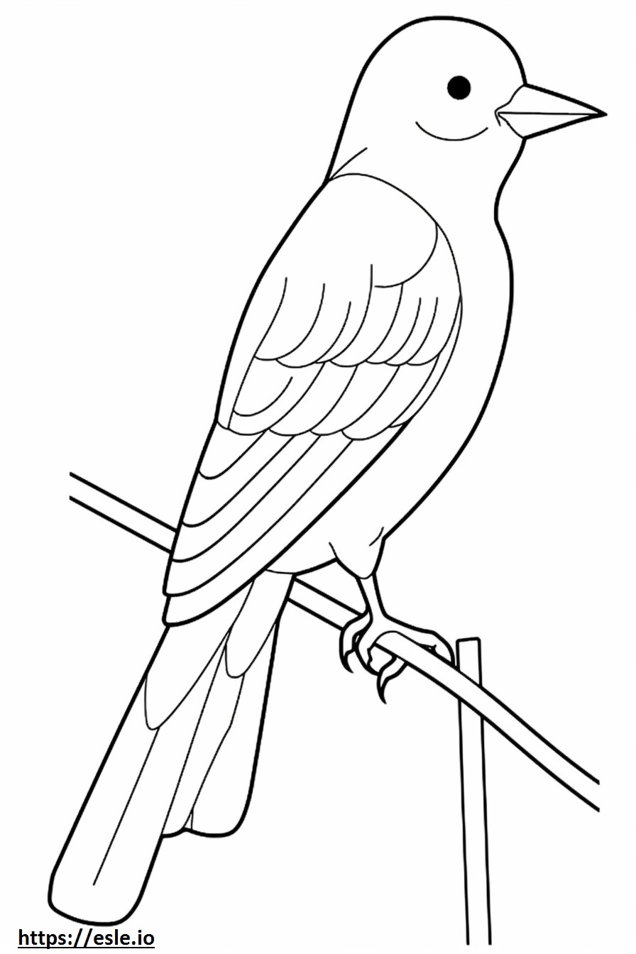 Flycatcher com cauda em tesoura de corpo inteiro para colorir