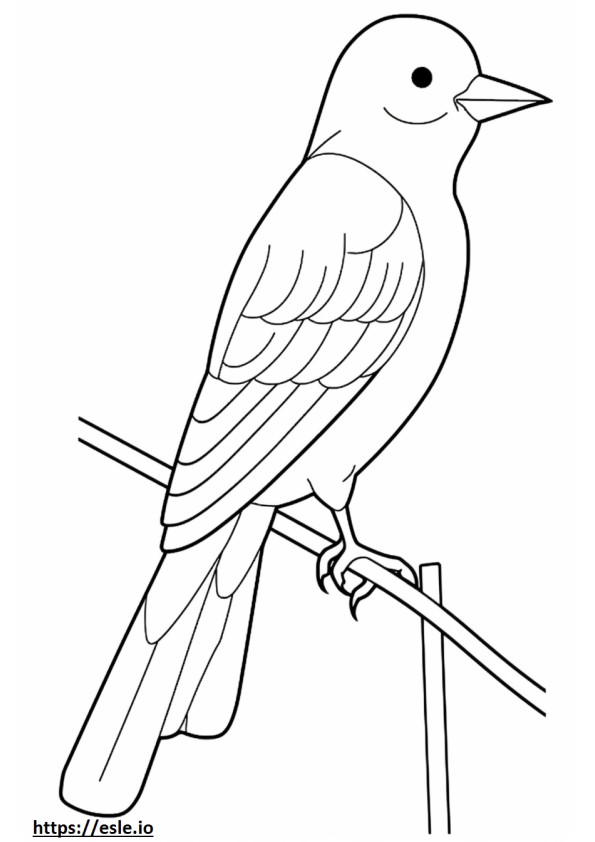 Flycatcher com cauda em tesoura de corpo inteiro para colorir