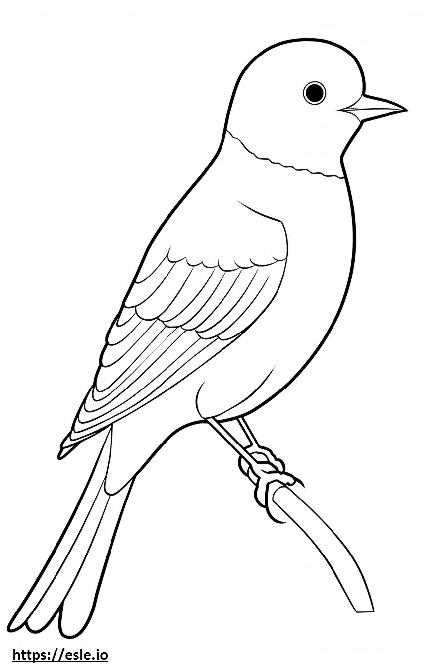 Scissor-tailed Flycatcher full body coloring page